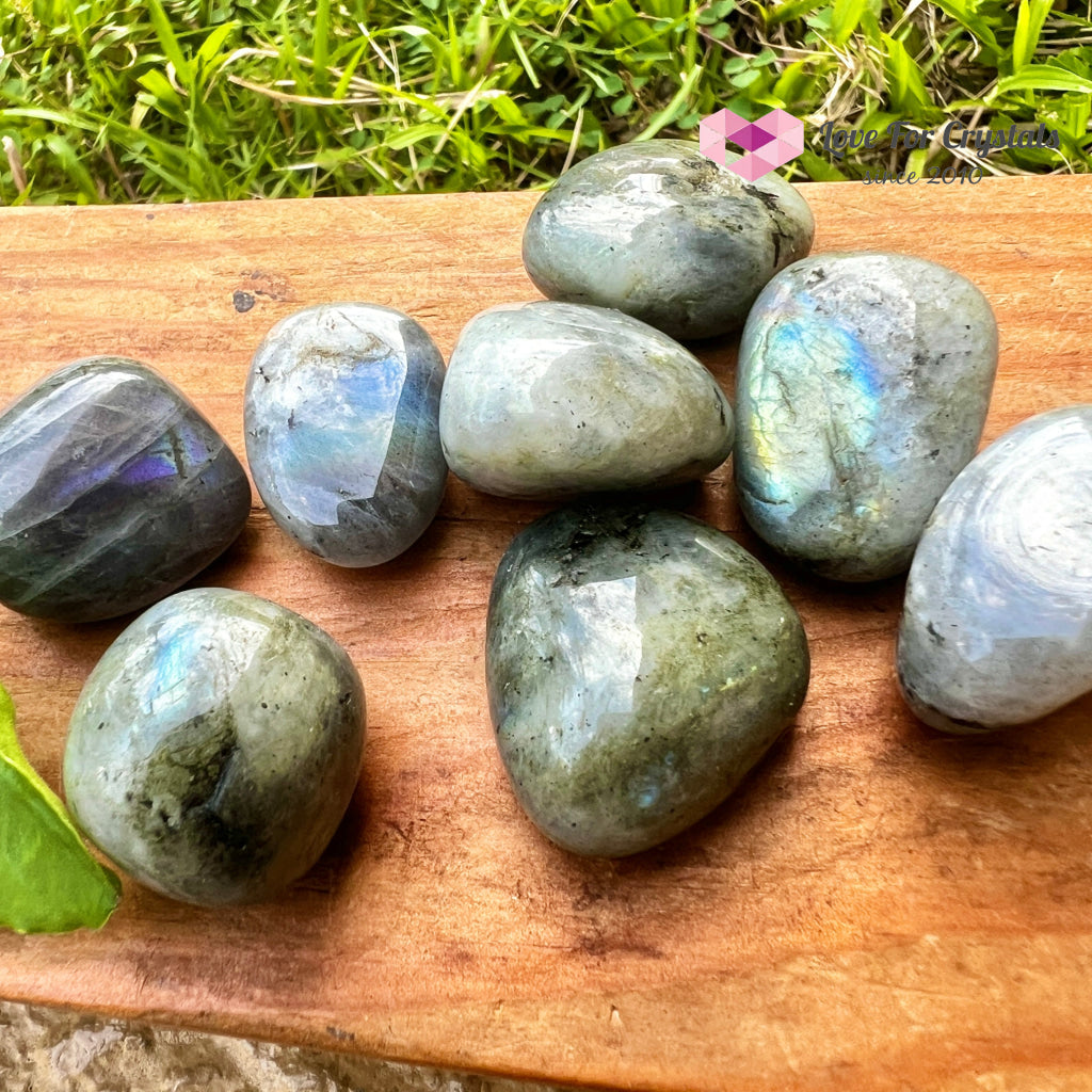Labradorite Tumbled (Madagascar)
