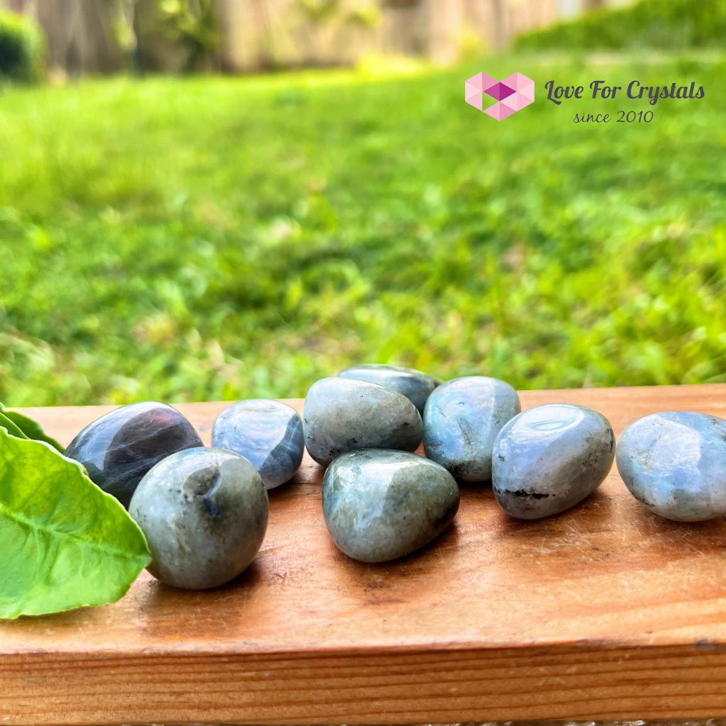 Labradorite Tumbled (Madagascar)