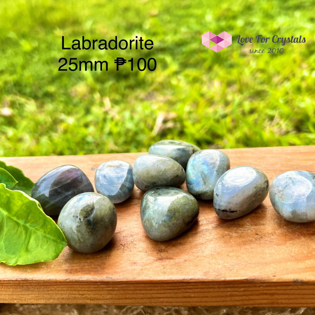 Labradorite Tumbled (Madagascar)