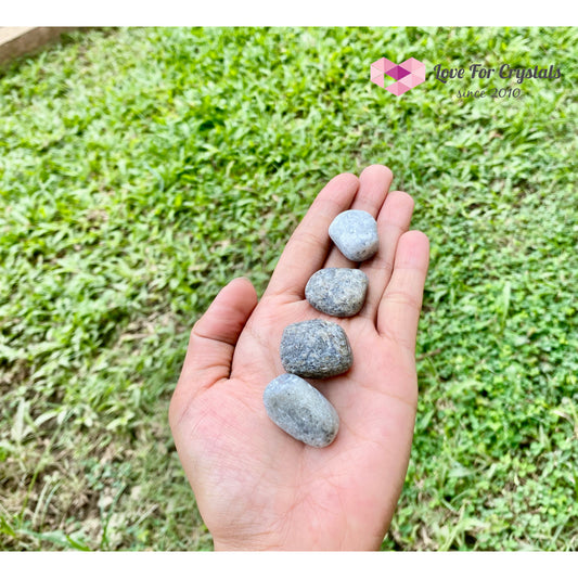 Labradorite Tumbled Stones 20mm 2pcs