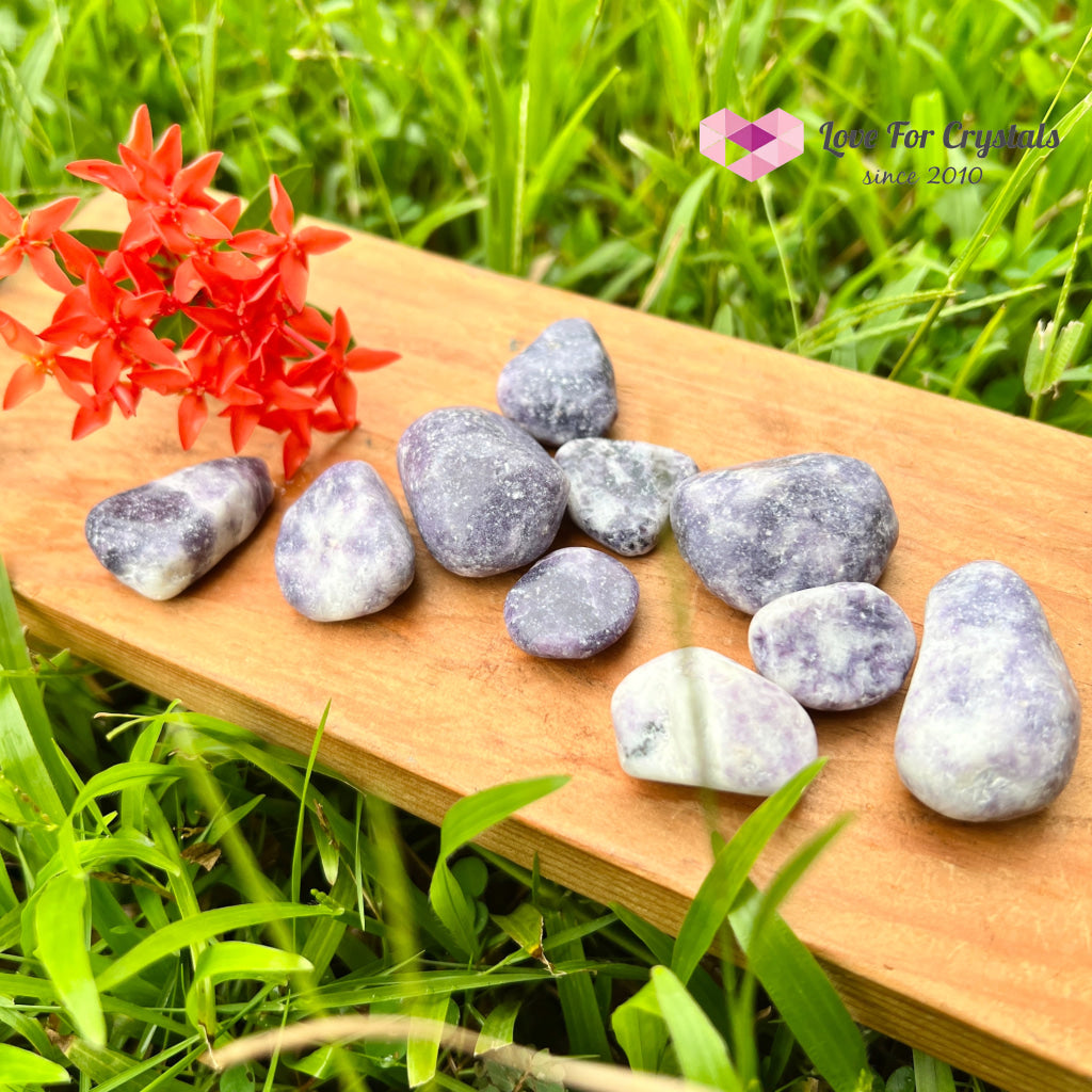 Lepidolite Lilac Tumbled (India) 20Mm