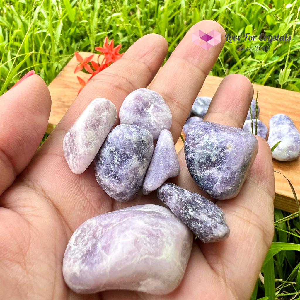 Lepidolite Lilac Tumbled (India) 25Mm