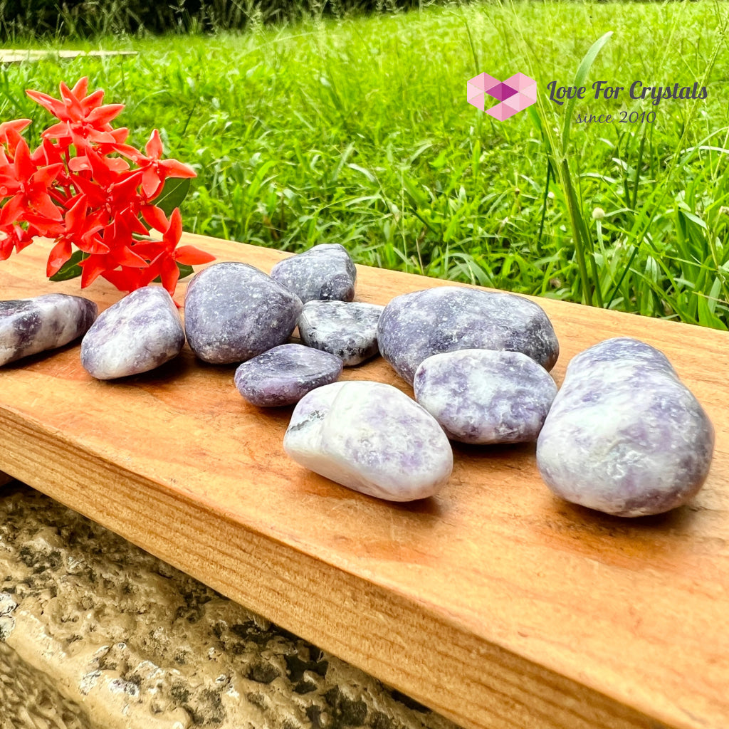 Lepidolite Lilac Tumbled (India)