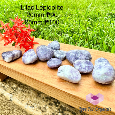 Lepidolite Lilac Tumbled (India)