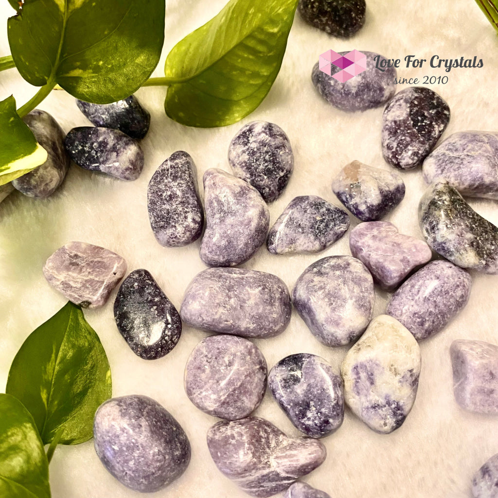 Lepidolite Lilac (India) Tumbled