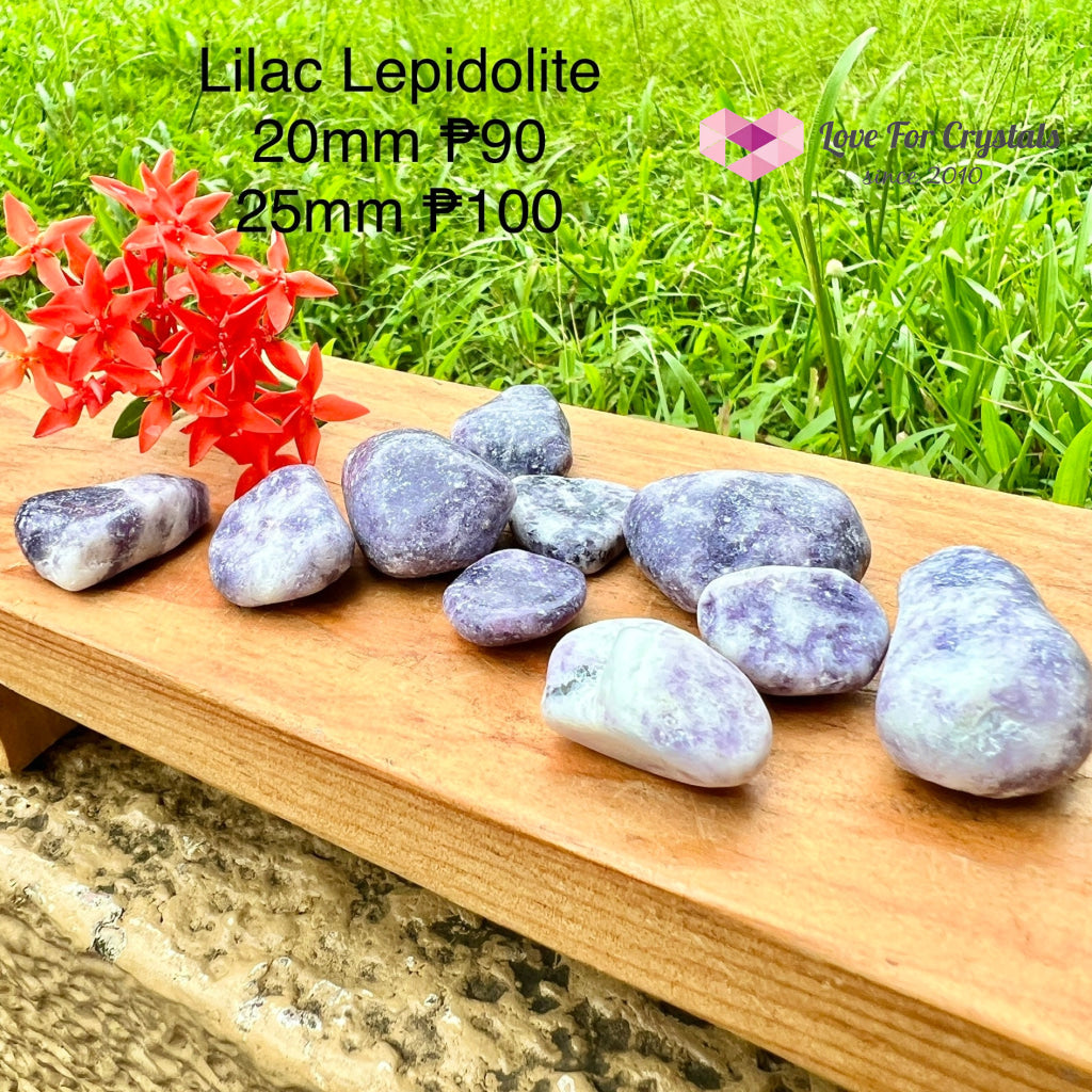 Lepidolite Lilac Tumbled (India)