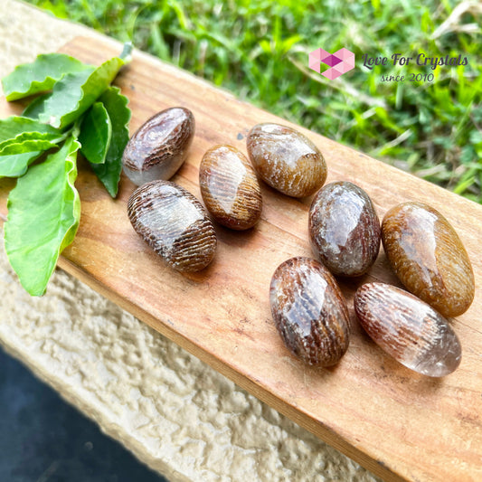 Melaleuca Garden Quartz Tumbled