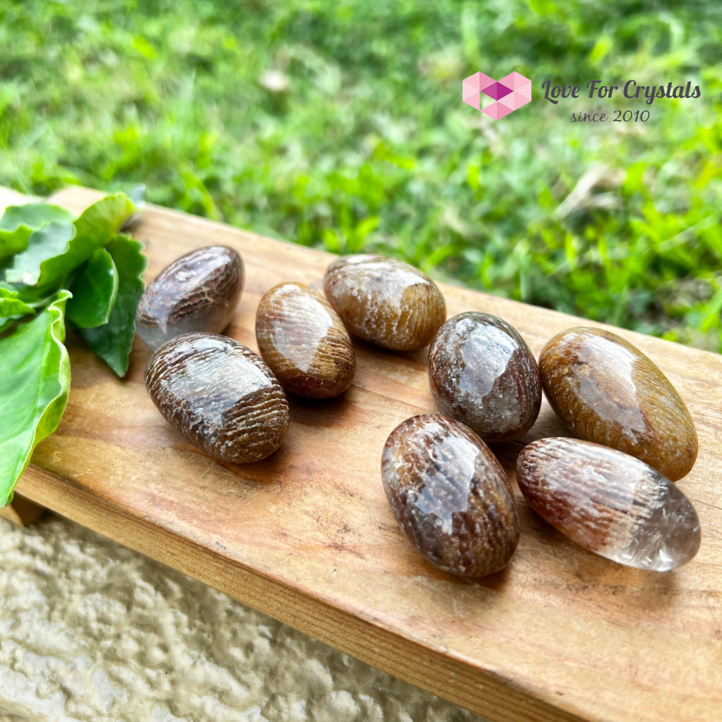 Melaleuca Garden Quartz Tumbled