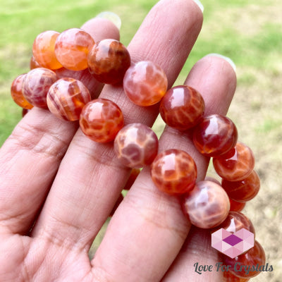 Mexican Fire Opal 10Mm Bracelet