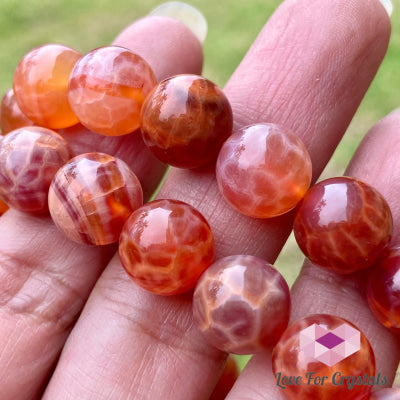 Mexican Fire Opal 10Mm Bracelet