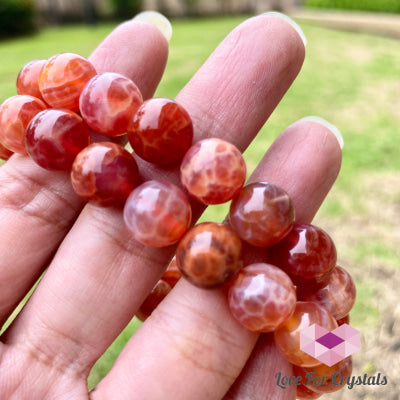 Mexican Fire Opal 10Mm Bracelet 6.0