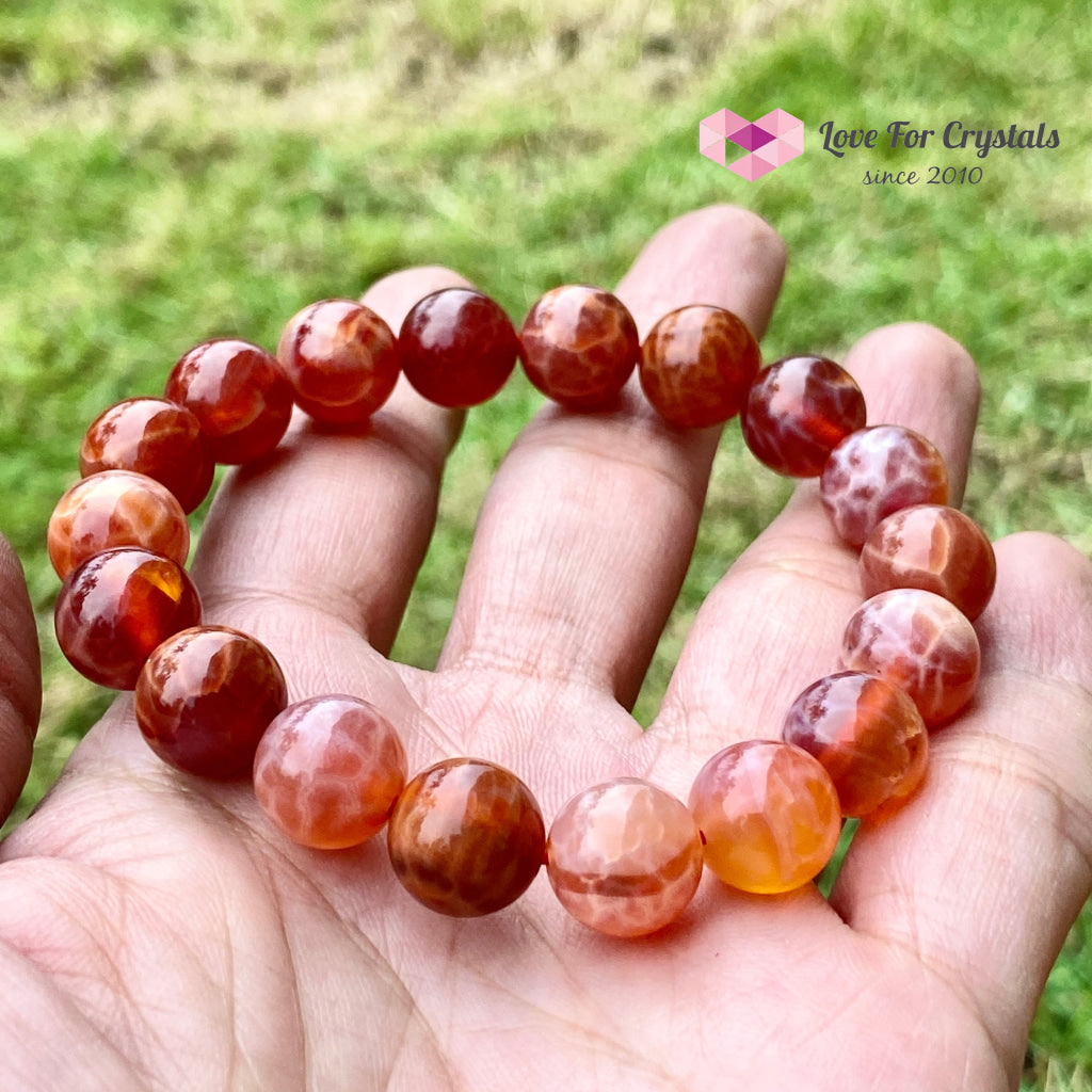 Mexican Fire Opal 10Mm Bracelet 6.5
