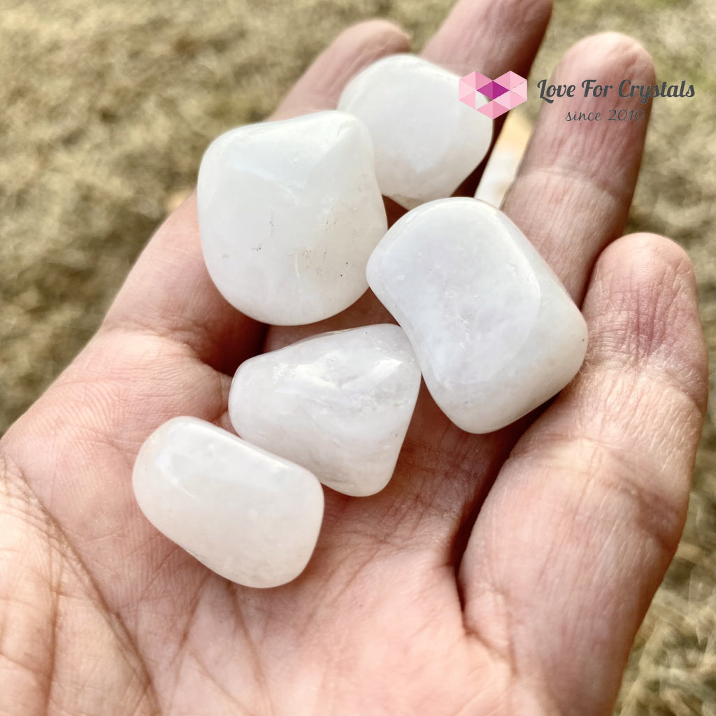 Milky Quartz Tumbled (Brazil) For Cleansing