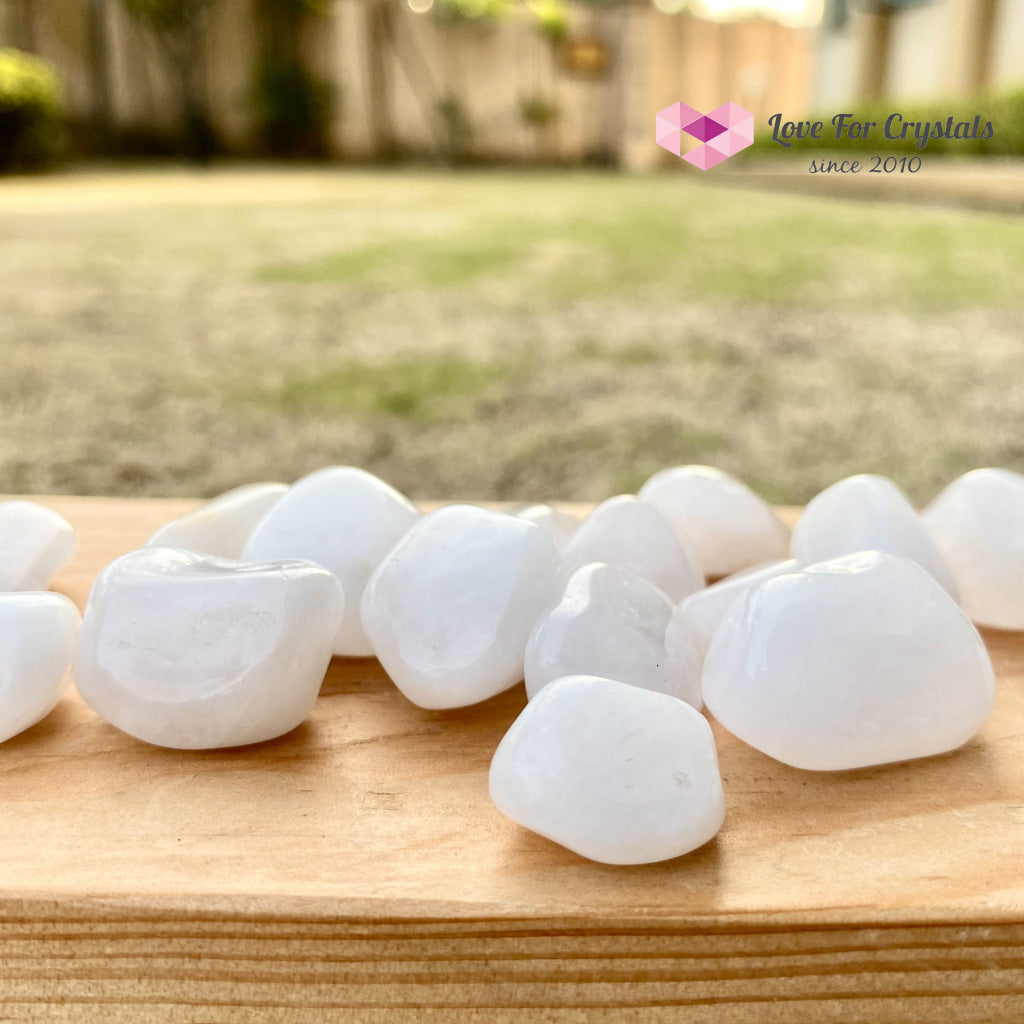 Milky Quartz Tumbled (Brazil) For Cleansing