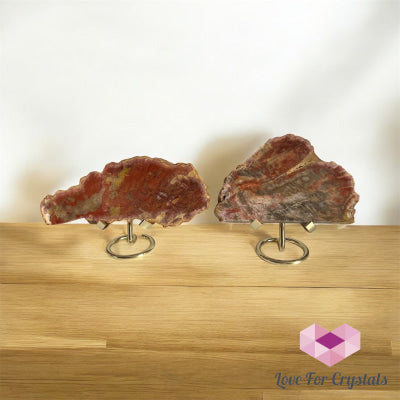 Petrified Wood Slab Slabs