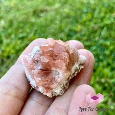 Pink Amethyst Druse Geode 25-35Mm (Argentina) Raw Crystal