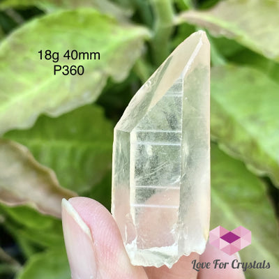 Pink Lemurian Seed Crystal Point (Brazil) 15G 62Mm Points