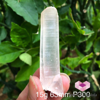 Pink Lemurian Seed Crystal Point (Brazil) Points