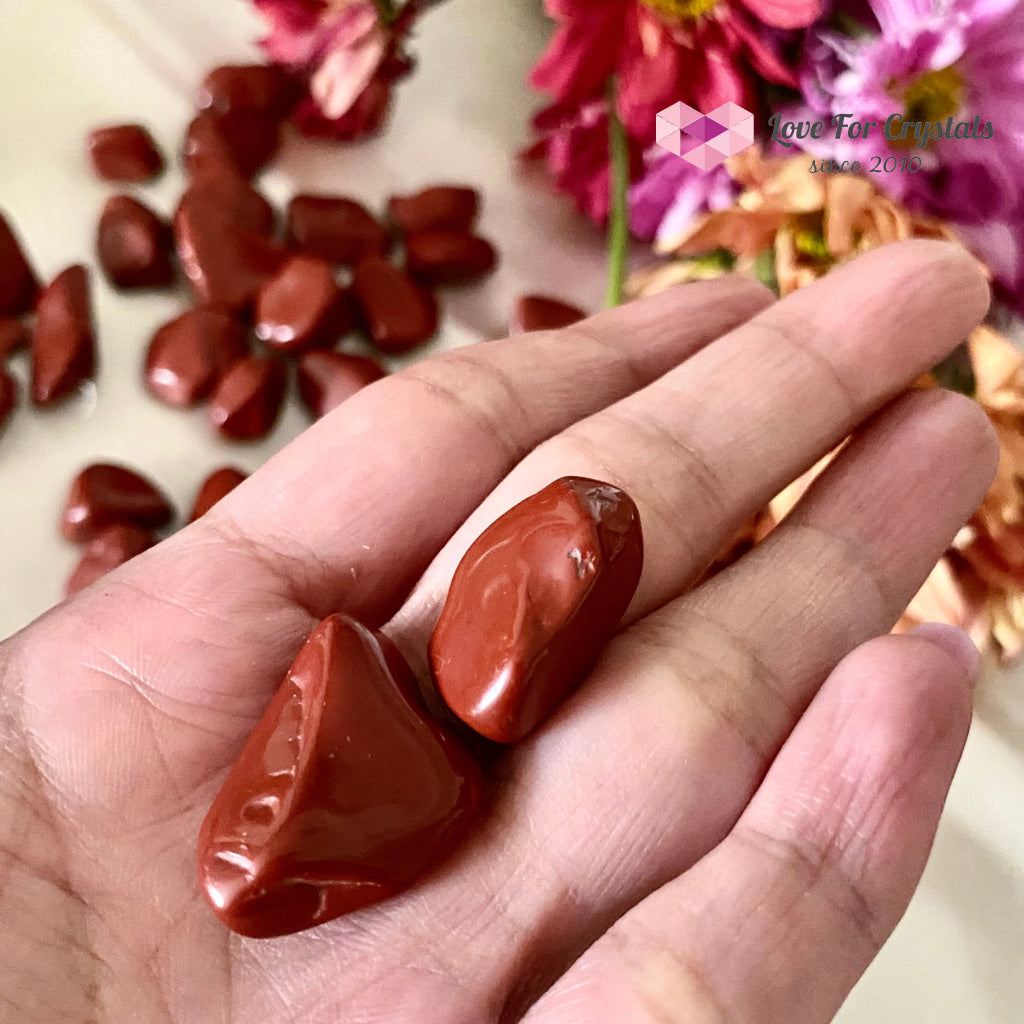 Red Jasper Tumbled Stones (Brazil) Pack Of 2 (10-15Mm)