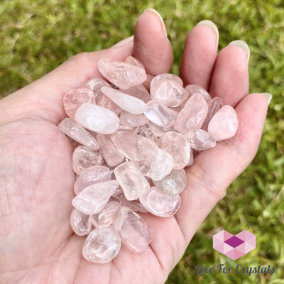 Rose Quartz Crystal Chips (100Gms)