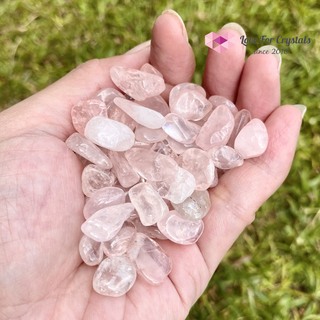Rose Quartz Crystal Chips (100Gms)