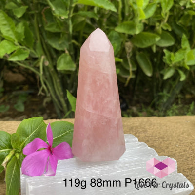 Rose Quartz Crystal Point (Brazil) Standing 119G 88Mm Points