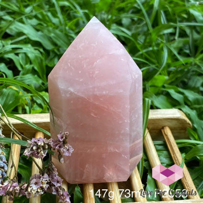 Rose Quartz Crystal Point (Brazil) Standing Points