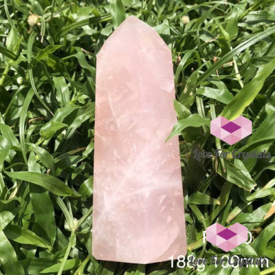 Rose Quartz Crystal Point (Brazil) Standing 188G 100Mm Points