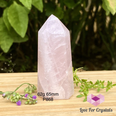 Rose Quartz Crystal Point (Brazil) Standing 62G 65Mm Points