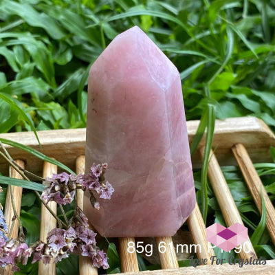 Rose Quartz Crystal Point (Brazil) Standing Points