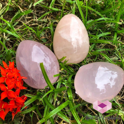 Rose Quartz Egg (Brazil) Eggs