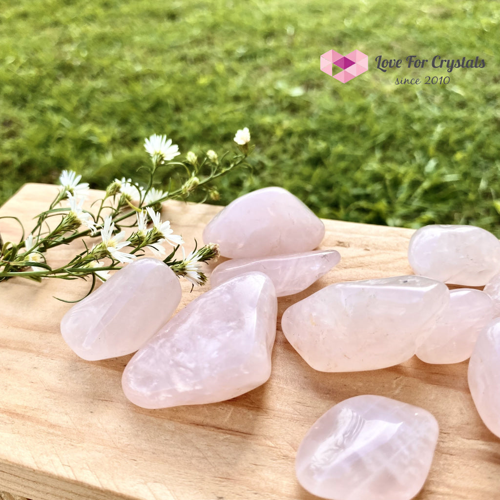 Rose Quartz Tumbled (Brazil)