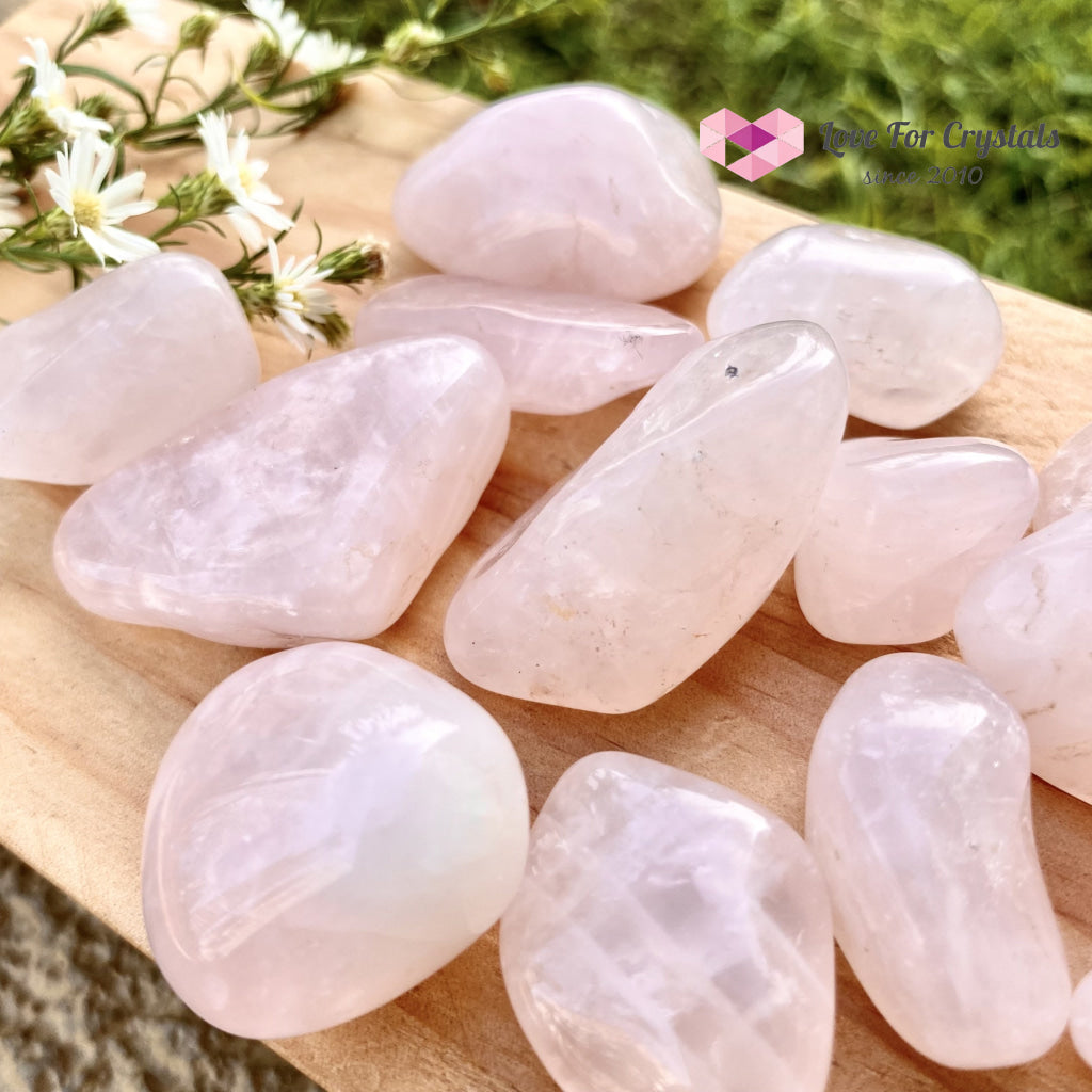 Rose Quartz Tumbled (Brazil)