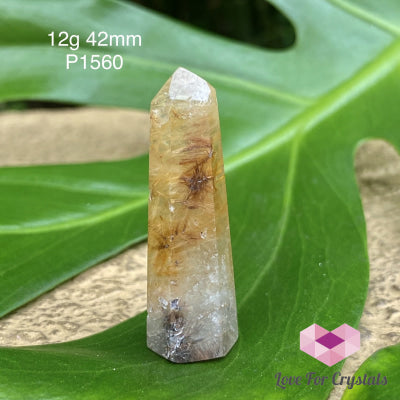 Rutilated Quartz Standing Mini Points 12G 42Mm