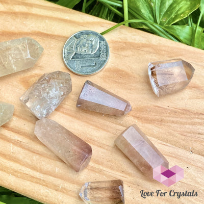 Rutilated Quartz Standing Mini Points