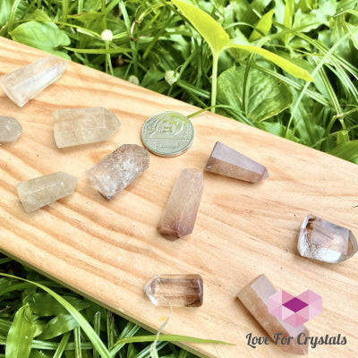 Rutilated Quartz Standing Mini Points