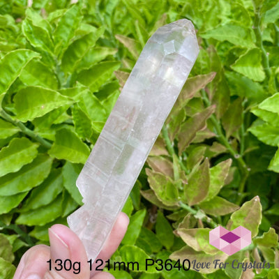 Scarlet Temple Strawberry Lemurian Seed (Brazil) 130G 121Mm Raw