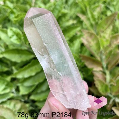 Scarlet Temple Strawberry Lemurian Seed (Brazil) 78G 83Mm Raw