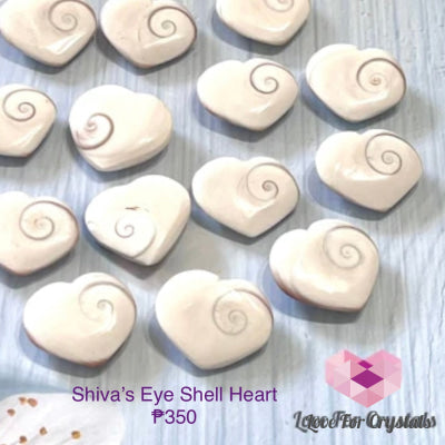 Shivas Eye Shell Heart (Indonesia) Polished Stones
