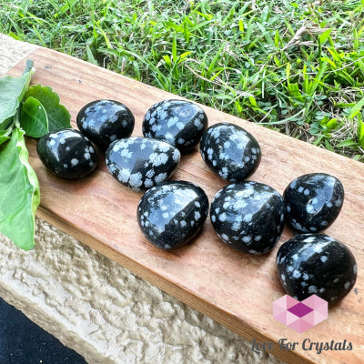 Snowflake Obsidian Tumbled Stones