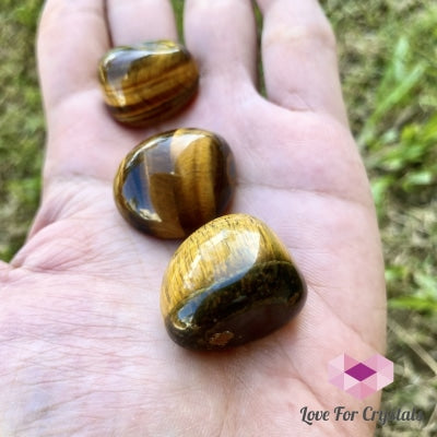 Tigers Eye Tumbled (South Africa) Aaa 20Mm