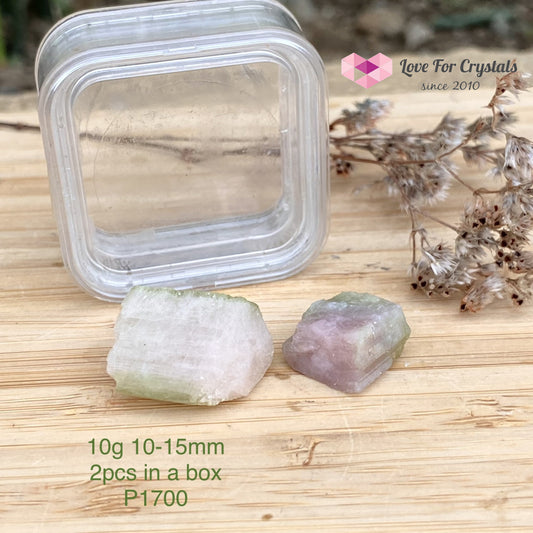Watermelon Tourmaline (Brazil) 10G 10-15Mm (2 Pcs In A Box) Raw
