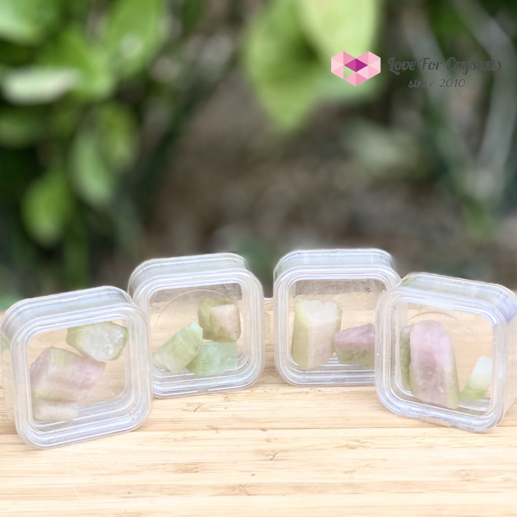 Watermelon Tourmaline (Brazil) Raw